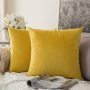 Cushion Cover Velvet Decoration Pillows For Sofa Living Room 45*45 Decorative Pillows#