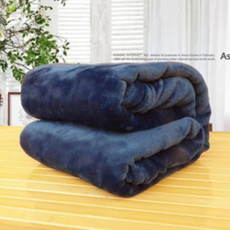 Home textile autumn and winter flannel wool blanket warm soft coral fleece blanket bedding adult solid bed cover sofa bed cover