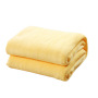 Home textile autumn and winter flannel wool blanket warm soft coral fleece blanket bedding adult solid bed cover sofa bed cover