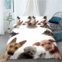 Cute Cat And Dog 4 Pcs 3D Bedding Set, 4Pc King Size Polyester Bedding Set/