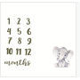 Printed flannel milestone Blanket Baby photo blanket Flannel blanket customizable/