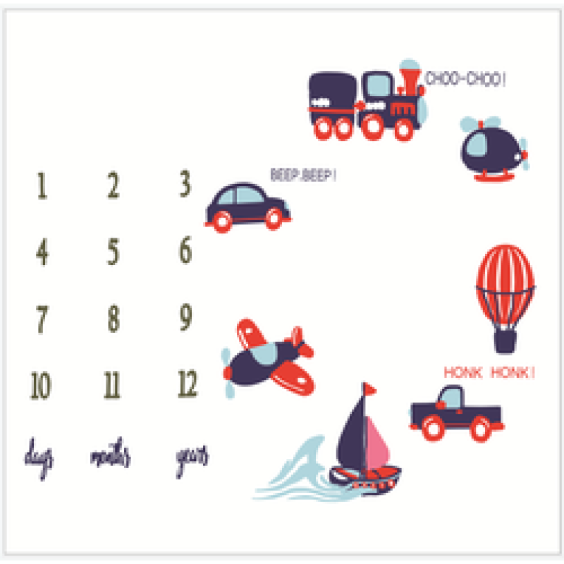 Printed flannel milestone Blanket Baby photo blanket Flannel blanket customizable/