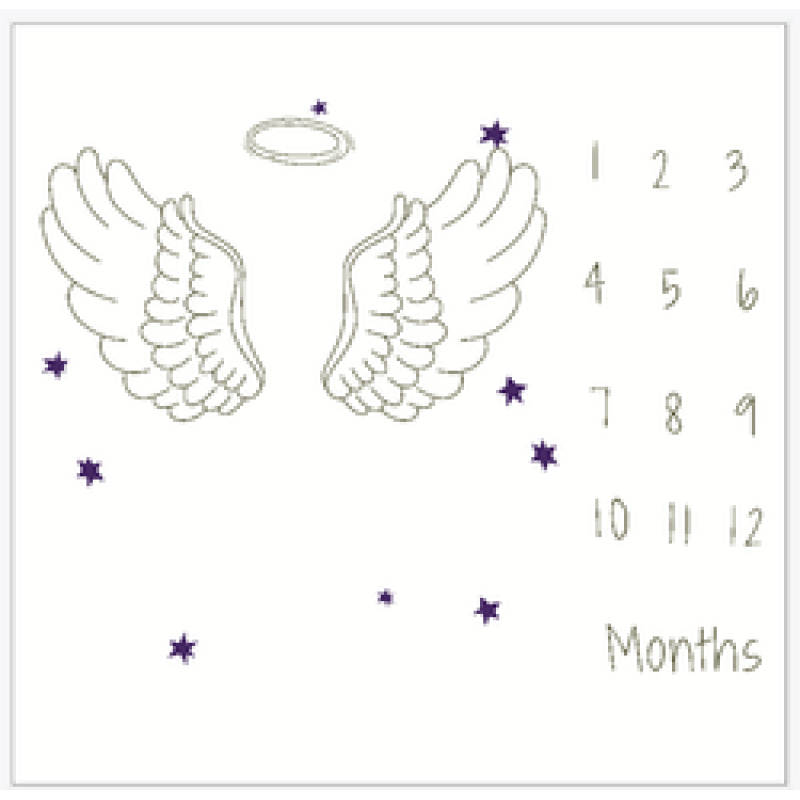 Printed flannel milestone Blanket Baby photo blanket Flannel blanket customizable/