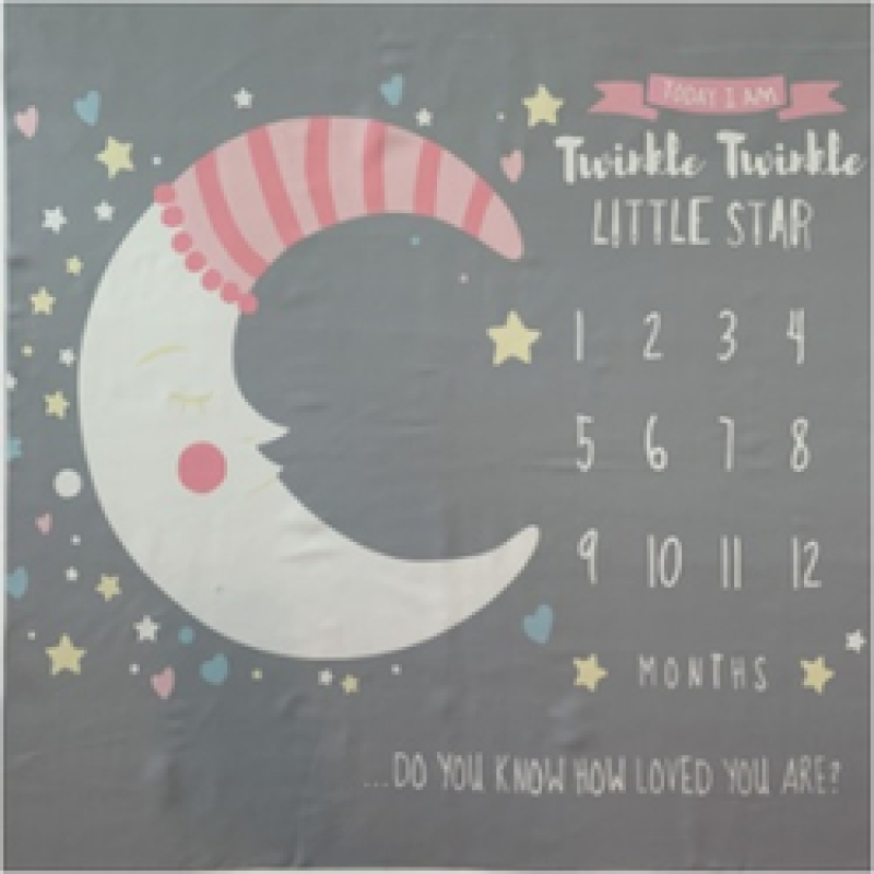 Printed flannel milestone Blanket Baby photo blanket Flannel blanket customizable/