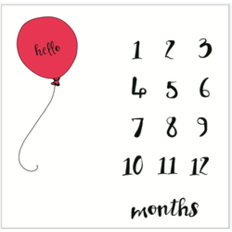 Printed flannel milestone Blanket Baby photo blanket Flannel blanket customizable/