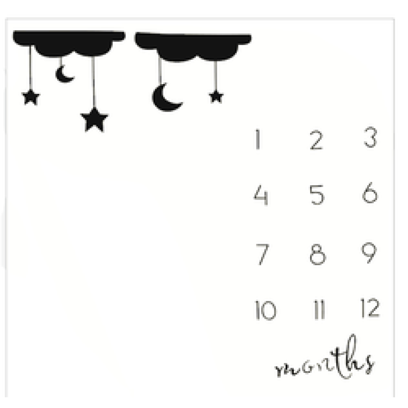 Printed flannel milestone Blanket Baby photo blanket Flannel blanket customizable/