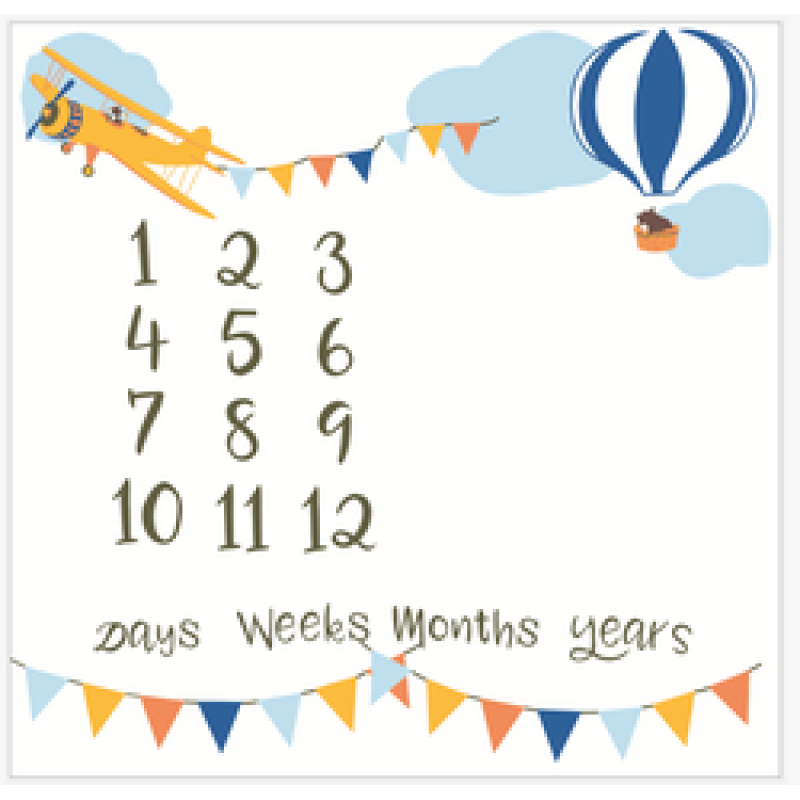 Printed flannel milestone Blanket Baby photo blanket Flannel blanket customizable/