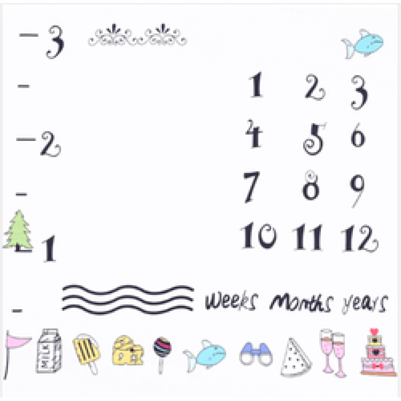 Printed flannel milestone Blanket Baby photo blanket Flannel blanket customizable/