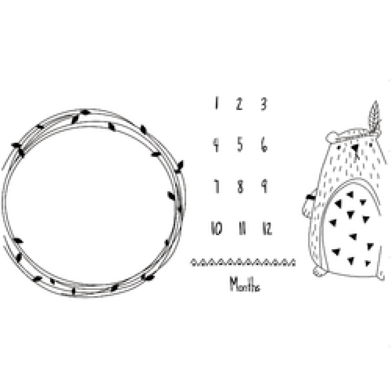 Printed flannel milestone Blanket Baby photo blanket Flannel blanket customizable/