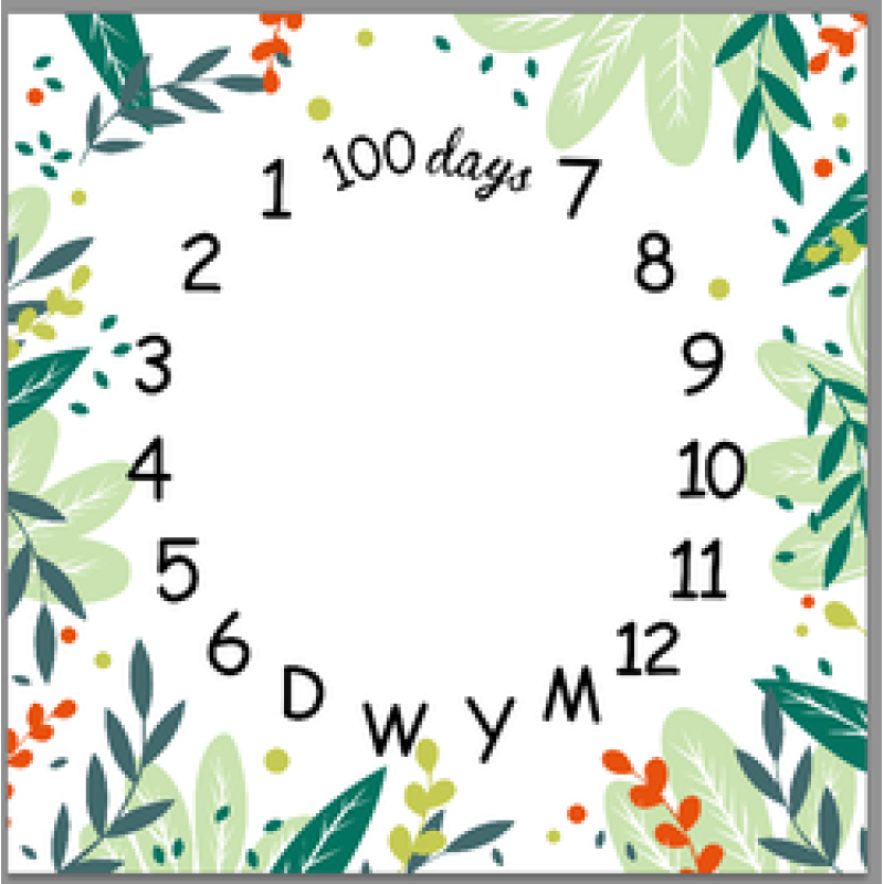 Printed flannel milestone Blanket Baby photo blanket Flannel blanket customizable/