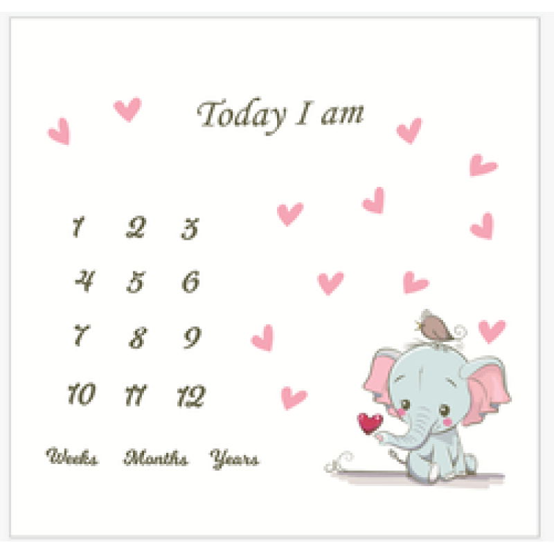 Printed flannel milestone Blanket Baby photo blanket Flannel blanket customizable/