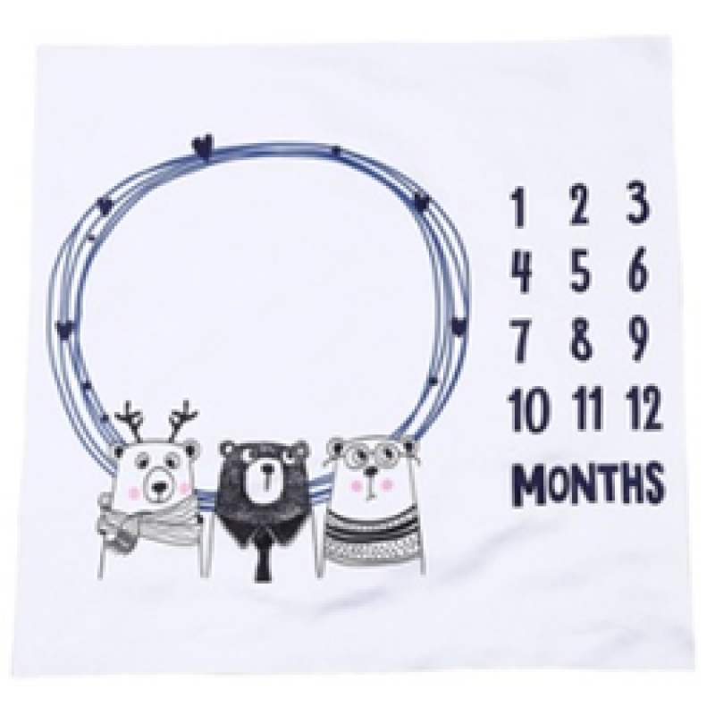 Printed flannel milestone Blanket Baby photo blanket Flannel blanket customizable/