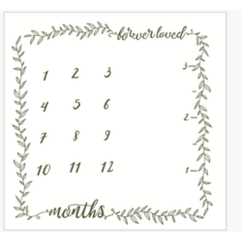 Printed flannel milestone Blanket Baby photo blanket Flannel blanket customizable/