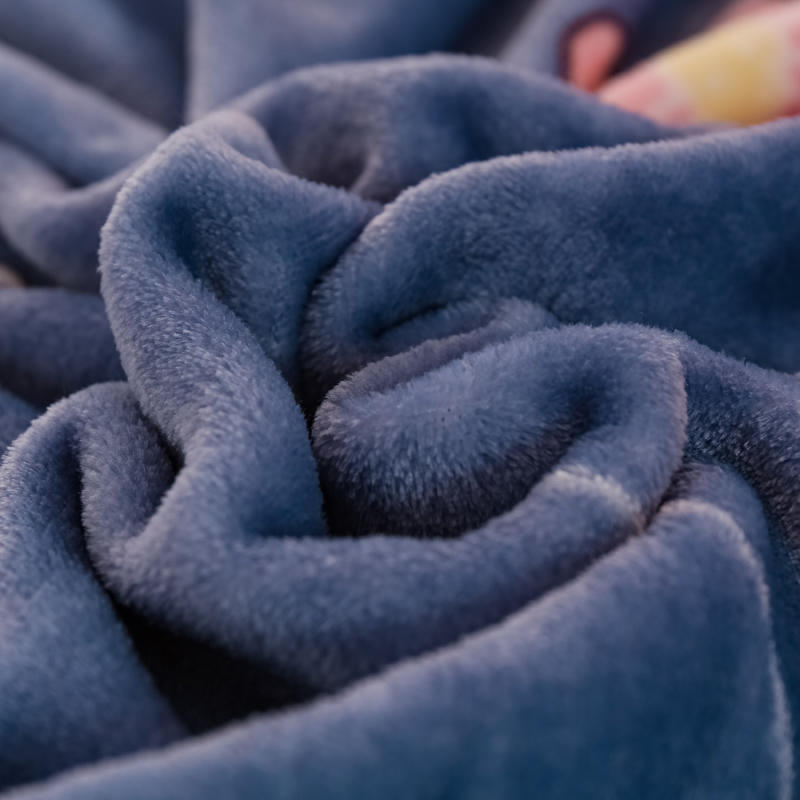 Bedspread on the Beds Purple Color Throw Blanket For Girl Queen/King Size Printed Pattern Coral Fleece Blanket Housse De Couett/