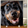 2021 Amazon Top Seller 3D Custom Digital Print Waterproof Polyester Fabric Shower Curtain with Hooks#