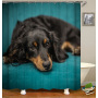 2021 Amazon Top Seller 3D Custom Digital Print Waterproof Polyester Fabric Shower Curtain with Hooks#