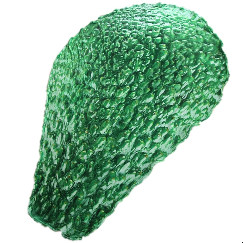 Hot sale 3d printing 200*150*110cm avocado pattern 230g flannel pet party travel blanket for gift shop
