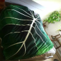 Super Soft Philodendron Gloriosum Printed Green Leaves Giant Fleece Cozy Leaf Blanket For Sofa Bed Oversized Kids