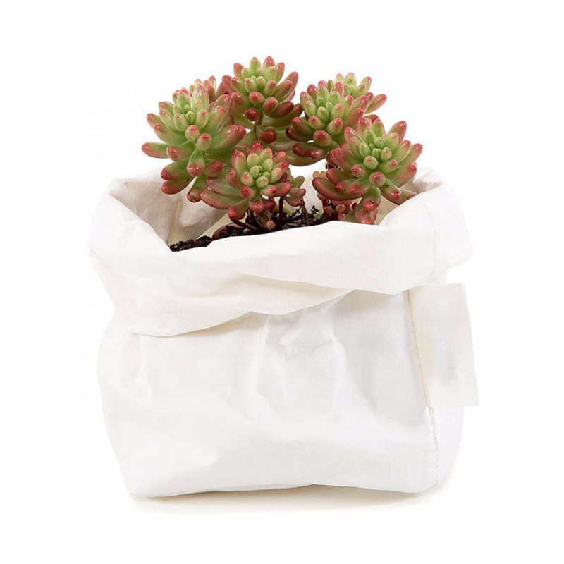 Custom Kraft Paper Non woven Material Potato Grow Planter Bag Plant Grow Bags For Flower