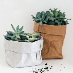 Kundenspezifische Kraftpapier-Vliesstoff-Kartoffel-Pflanzer-Taschen-Anlage wachsen Taschen für Blumen
