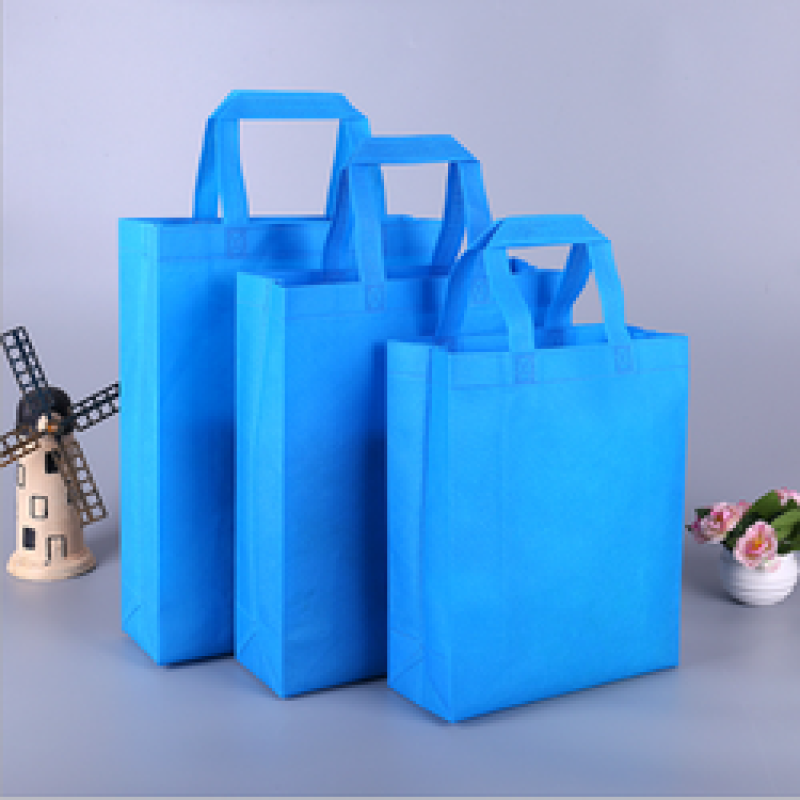 Wholesale Fashion Eco-friendly Pouch Foldable bags Colorful Grocery non woven bag
