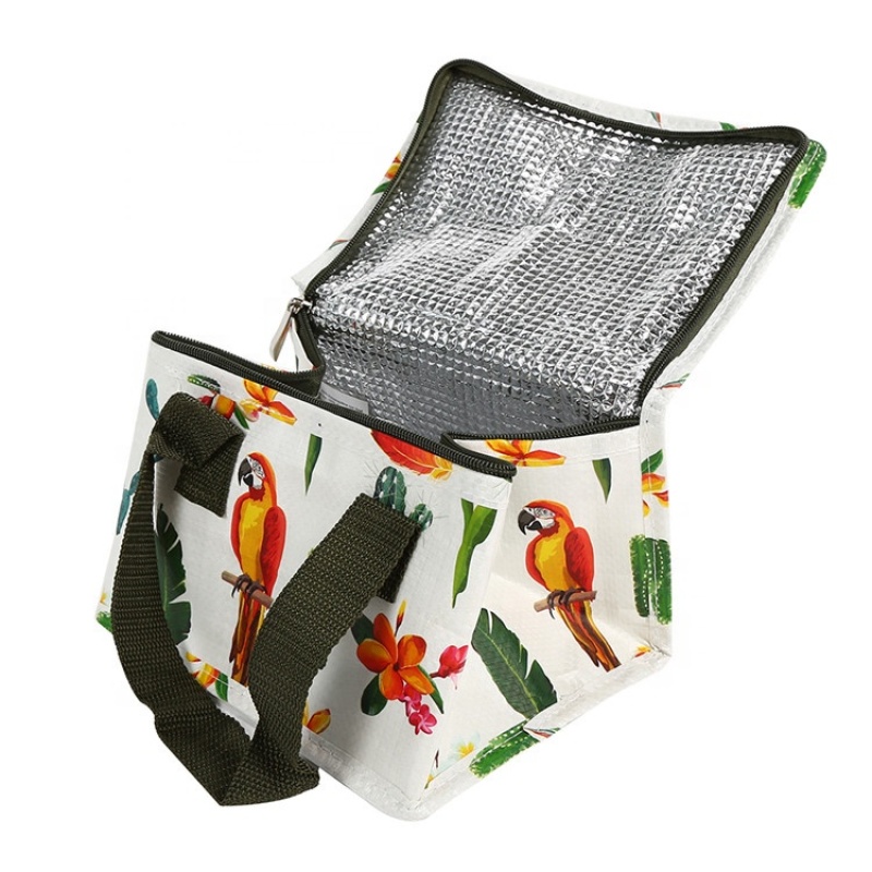 High Quality Food Delivery Aluminium Foil Thermal Insulation Cool Carry Cooler Bag