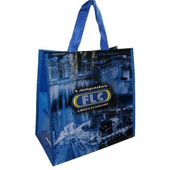 Bolsas de asas de encargo promocionales metálicas del logotipo PE PP Shopping Bag