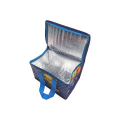 Nouveauté petit refroidisseur thermique portable isolé étanche boîte à lunch stockage pique-nique sac isotherme