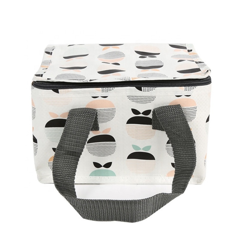 Manufacturer Direct High End Food Delivery Insulated Isolating Bag Cooler Bag
