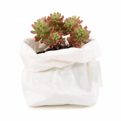 Bolsa de papel impermeable colorida exclusiva de Kraft del florista para el empaquetado de las flores