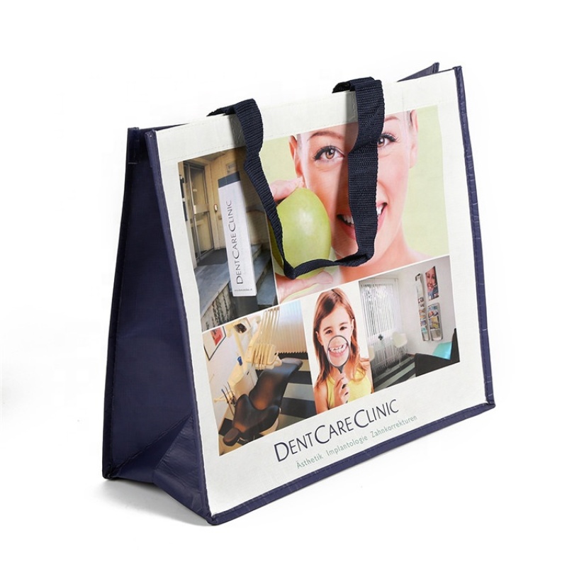 Print multiple patterns custom cheap promotional recyclable pp non woven bag
