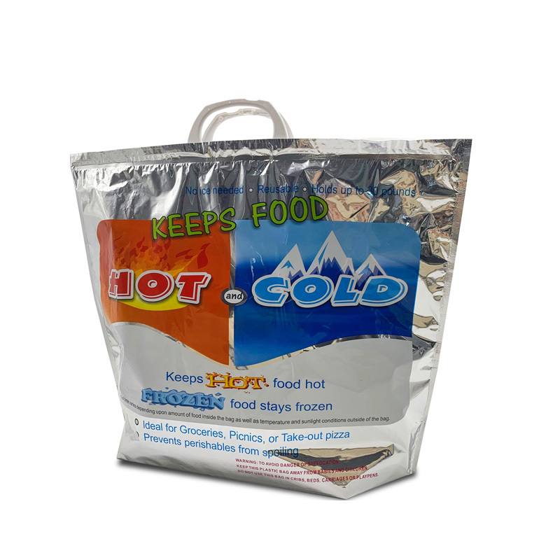 Hot Cold Custom Aluminum Foil Ice Thermal Cooler Bag Thermal Insulated Cooler Bag with Plastic Handle