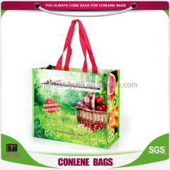 Recyclable reusable plastic shopping trolley bag