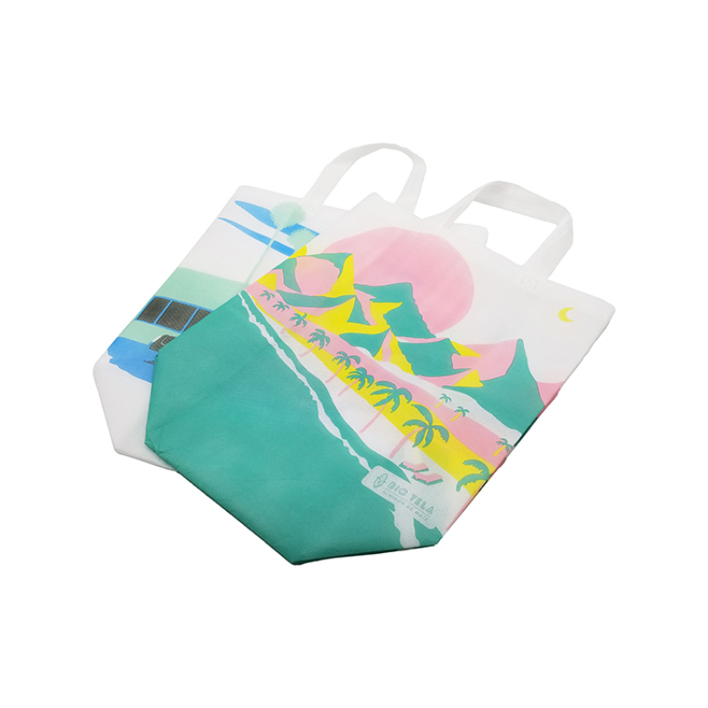 Cheap Printed PP Custom Reusable Non Woven Shopping Bag