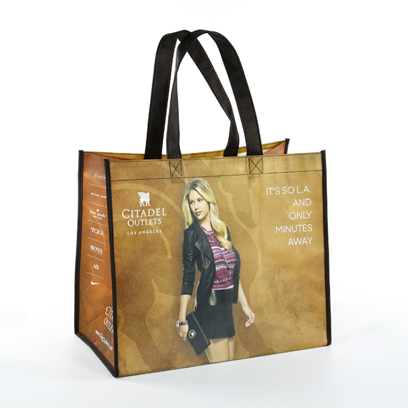 Laminated Bags Custom Logo Fabric Carry Non Woven Shopping Bag With Custom Print Logo