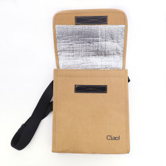 Модная сумка через плечо Водонепроницаемая сумка-холодильник для ланча Изолированная бумажная сумка для еды для ланча