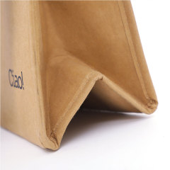 Модная сумка через плечо Водонепроницаемая сумка-холодильник для ланча Изолированная бумажная сумка для еды для ланча
