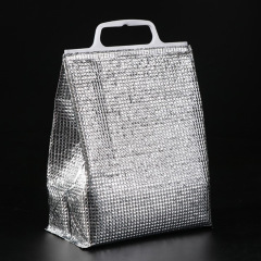 PE Lunch Cooler Bag Складной пикник Портативный пакет со льдом Еда Термальная сумка Доставка напитков Перевозчик Изолированная сумка