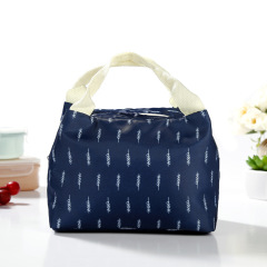 Bolsa de almuerzo reutilizable portátil para mujer pequeña, bolsa de hielo con impresión, bolsas de comida, bolsa de almuerzo térmica para niños
