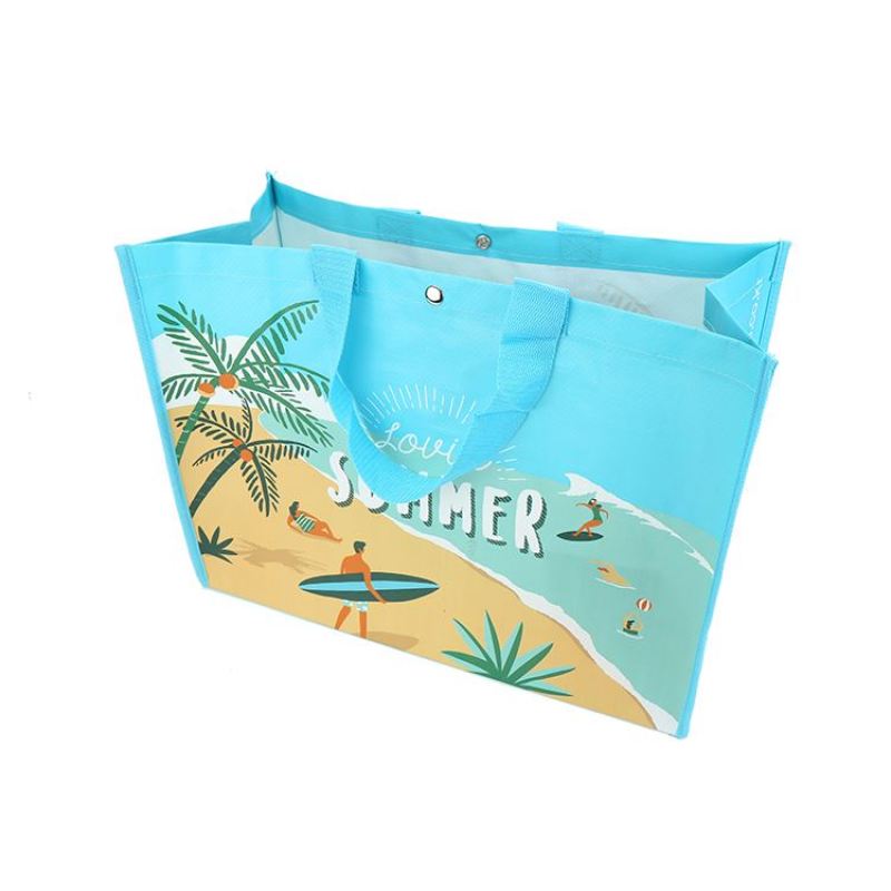 Newest selling different types surface printing plastic bag woven bag manufacturer