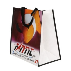 Bolso de compras reutilizable tejido PP promocional de la bolsa de asas del logotipo modificado para requisitos particulares barato