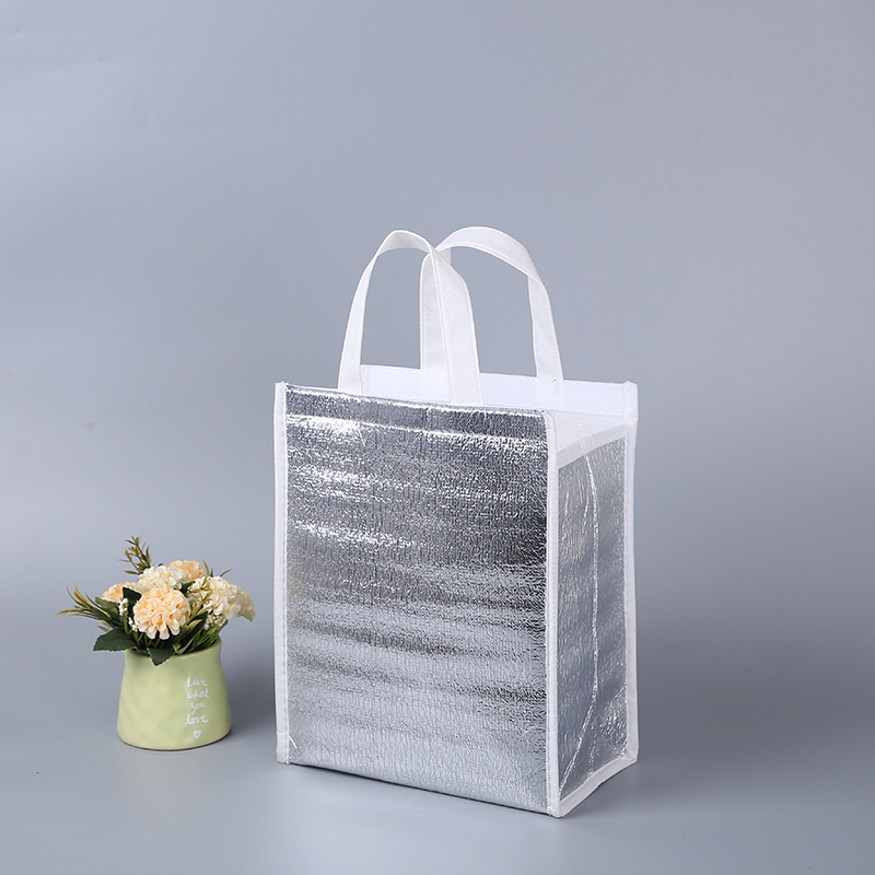 Customized Design Picnic Ice Wine Bottle Promotional Insulated Lunch Cooler Bag