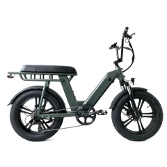 Factory Direct Cheap Electric Fat Tire Bike Unfoldable 48V 500W E Bike Motorcycle With Better Price Than Other Bike