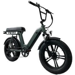 Factory Direct Cheap Electric Fat Tire Bike Unfoldable 48V 500W E Bike Motorcycle With Better Price Than Other Bike