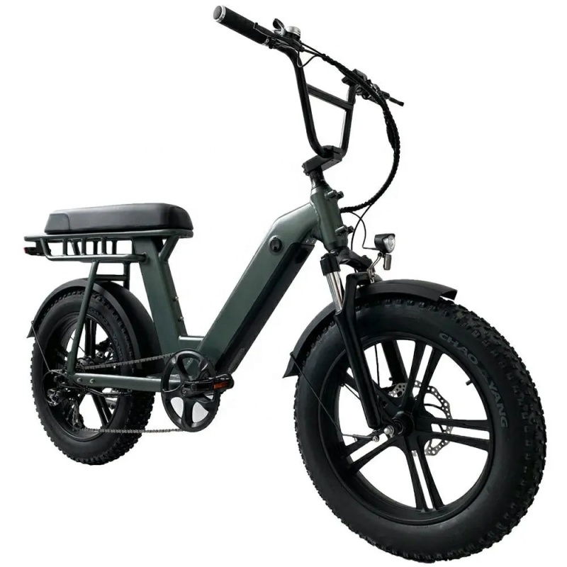 Factory Direct Cheap Electric Fat Tire Bike Unfoldable 48V 500W E Bike Motorcycle With Better Price Than Other Bike