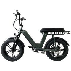 Factory Direct Cheap Electric Fat Tire Bike Unfoldable 48V 500W E Bike Motorcycle With Better Price Than Other Bike