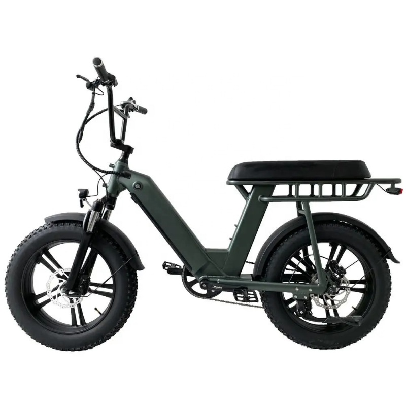 Factory Direct Cheap Electric Fat Tire Bike Unfoldable 48V 500W E Bike Motorcycle With Better Price Than Other Bike