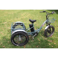 2020 light weight aluminium alloy electric three wheel bike electric cargo trike fat tire electric tricycle trike