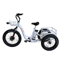 2020 light weight aluminium alloy electric three wheel bike electric cargo trike fat tire electric tricycle trike