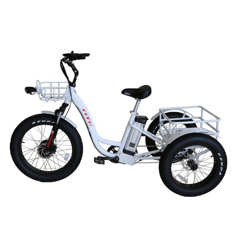 2020 light weight aluminium alloy electric three wheel bike electric cargo trike fat tire electric tricycle trike